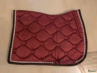 Schabrak & Vojlockar hästutrustning till salu: PS schbrak i Norrköping - Annons 2