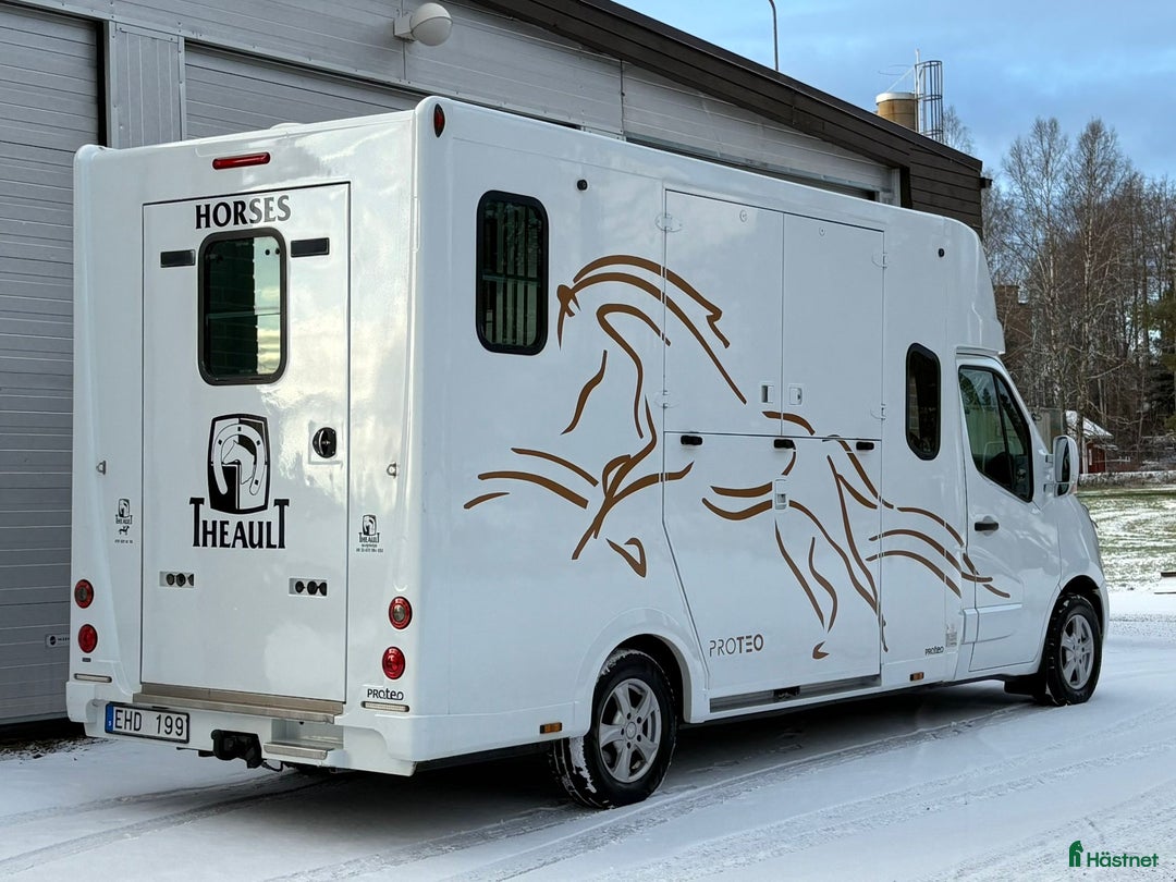 Hästlastbilar  fordon & transport till salu: 5-sitsig Theault Proteo STUTERI hästlastbil  i Stockholm - Annons 3