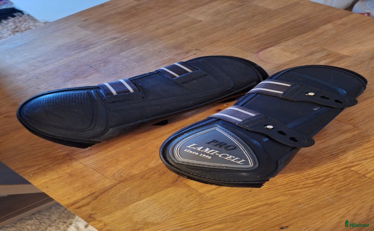 Benskydd hästutrustning till salu: Lamicell benskydd svarta fram M i Norrköping - Annons 20