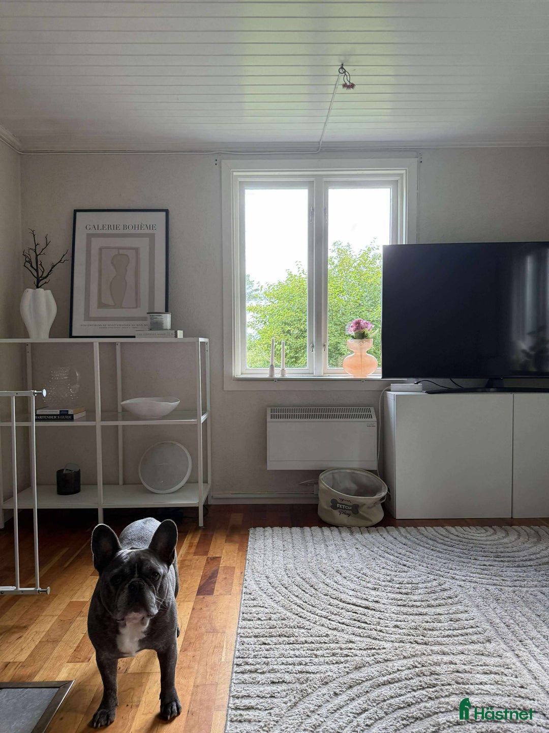  stallplats finnes: Hus på hästgård och stallplatser.  i Ljung - Annons 13