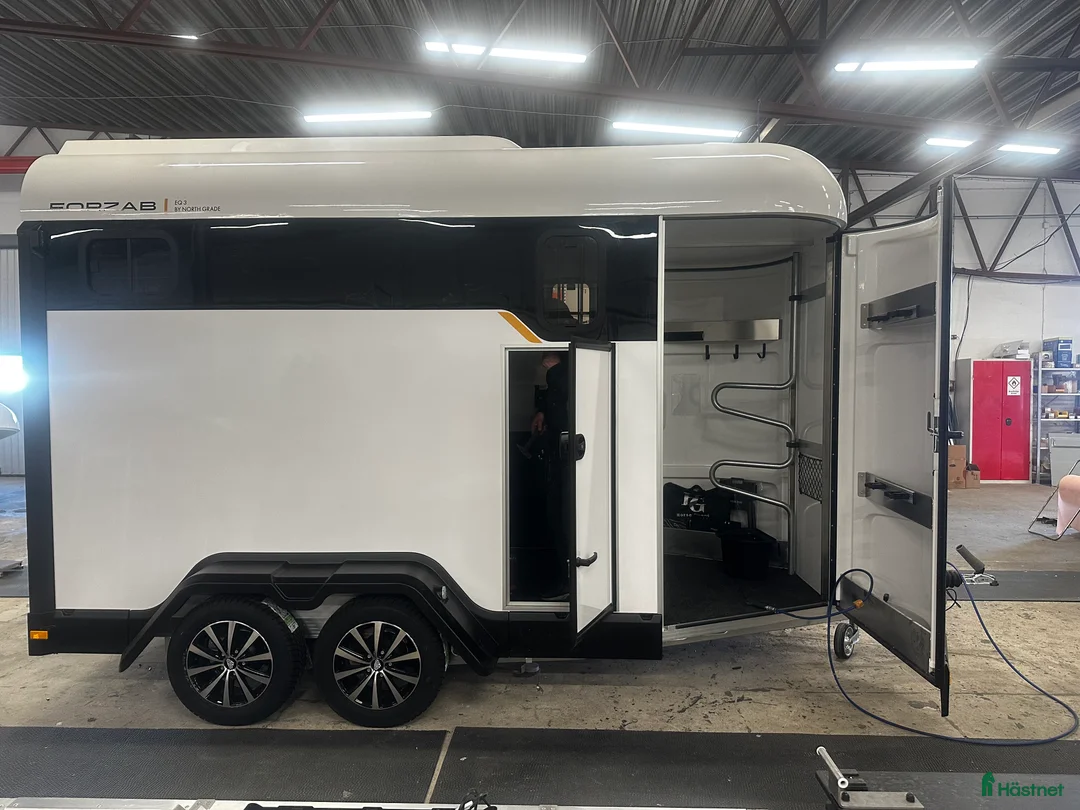 Hästtransporter  fordon & transport till salu: Forzab EQ3 i Rättvik - Annons 8