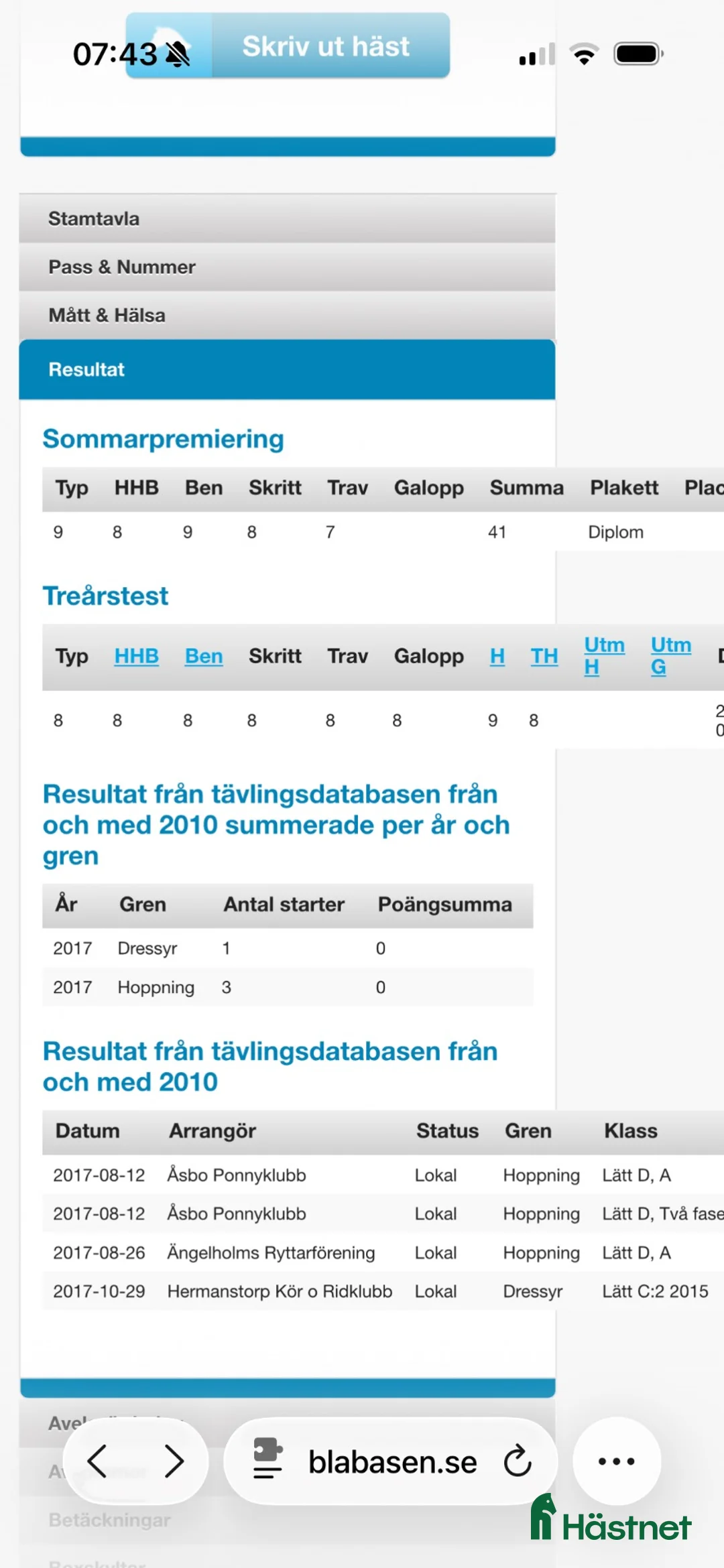 Allround hästar till salu: Gulbrunskäck Connemarakorsning - Annons 3