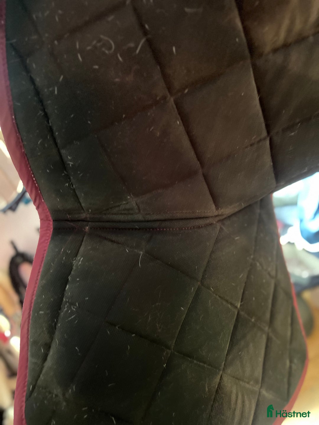 Schabrak & Vojlockar hästutrustning till salu: Ps of sweden schabrak  i Kattarp - Annons 3