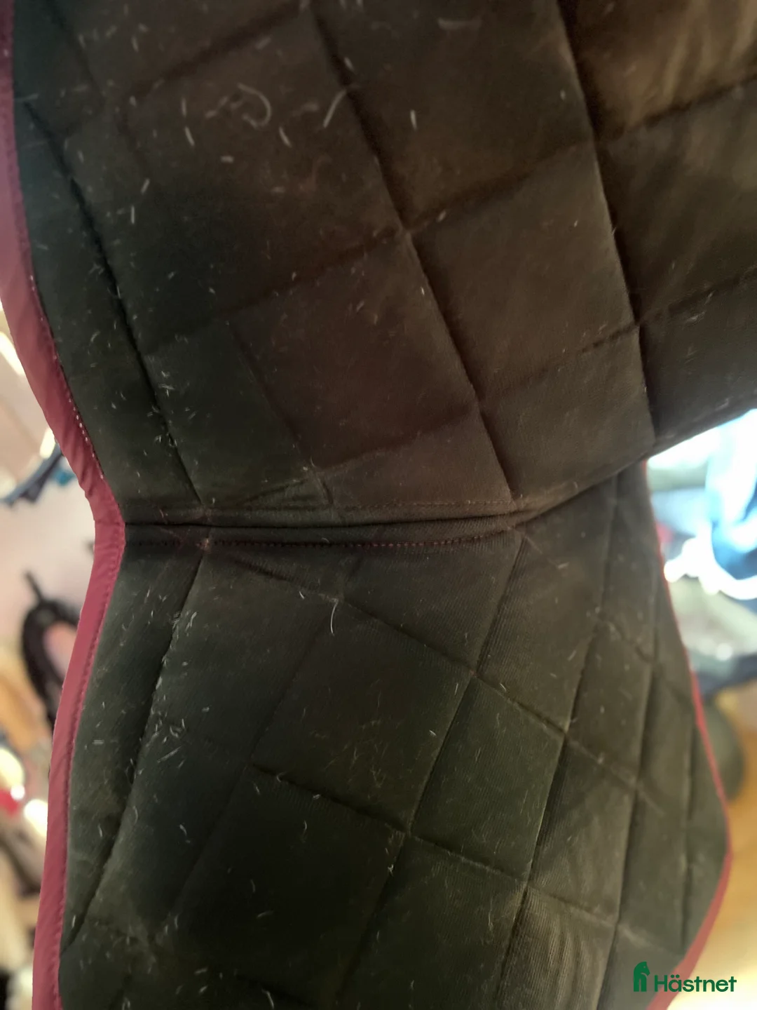 Schabrak & Vojlockar hästutrustning till salu: Ps of sweden schabrak  i Kattarp - Annons 3