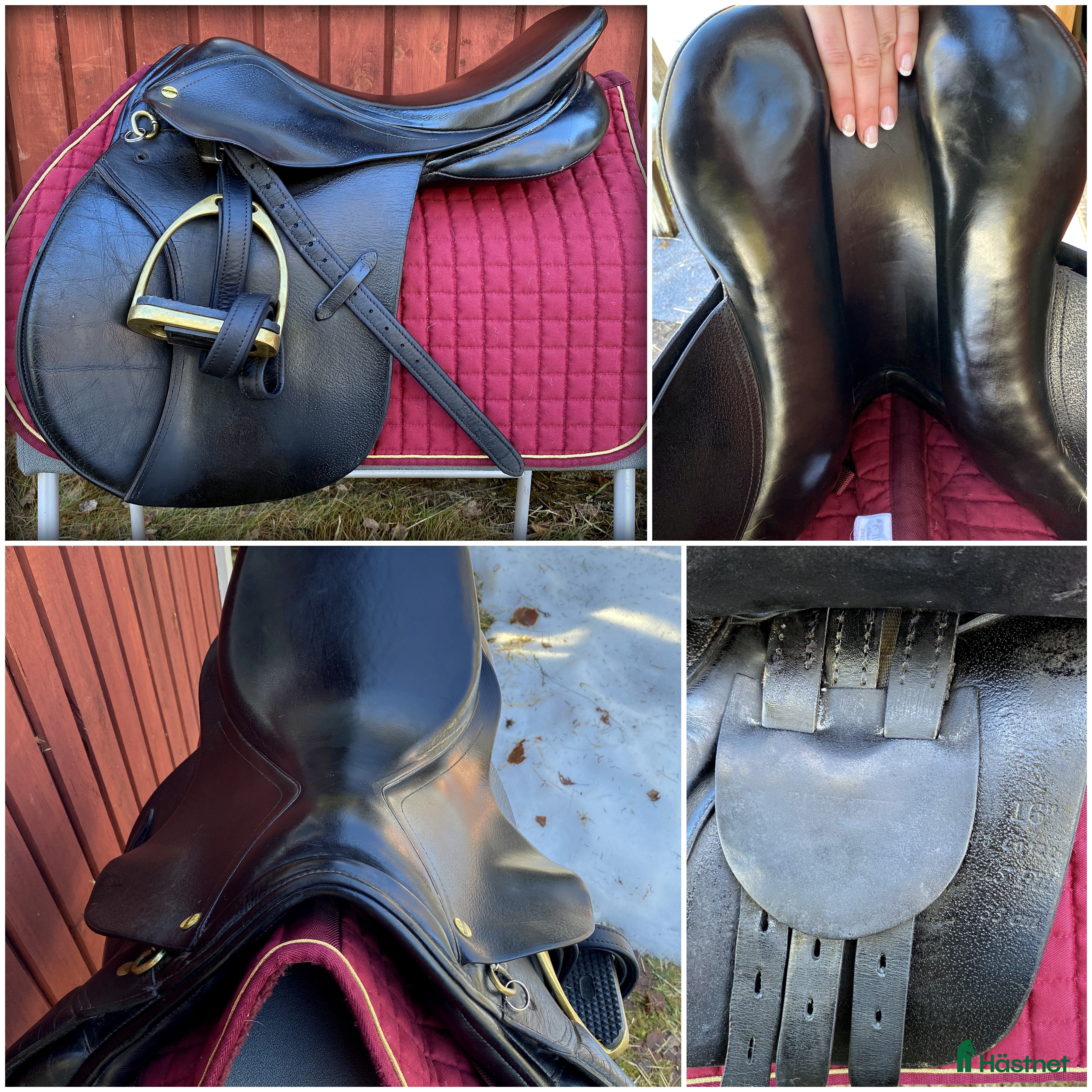 Sadlar hästutrustning Henri de rivel 16' xxw - Annons 5