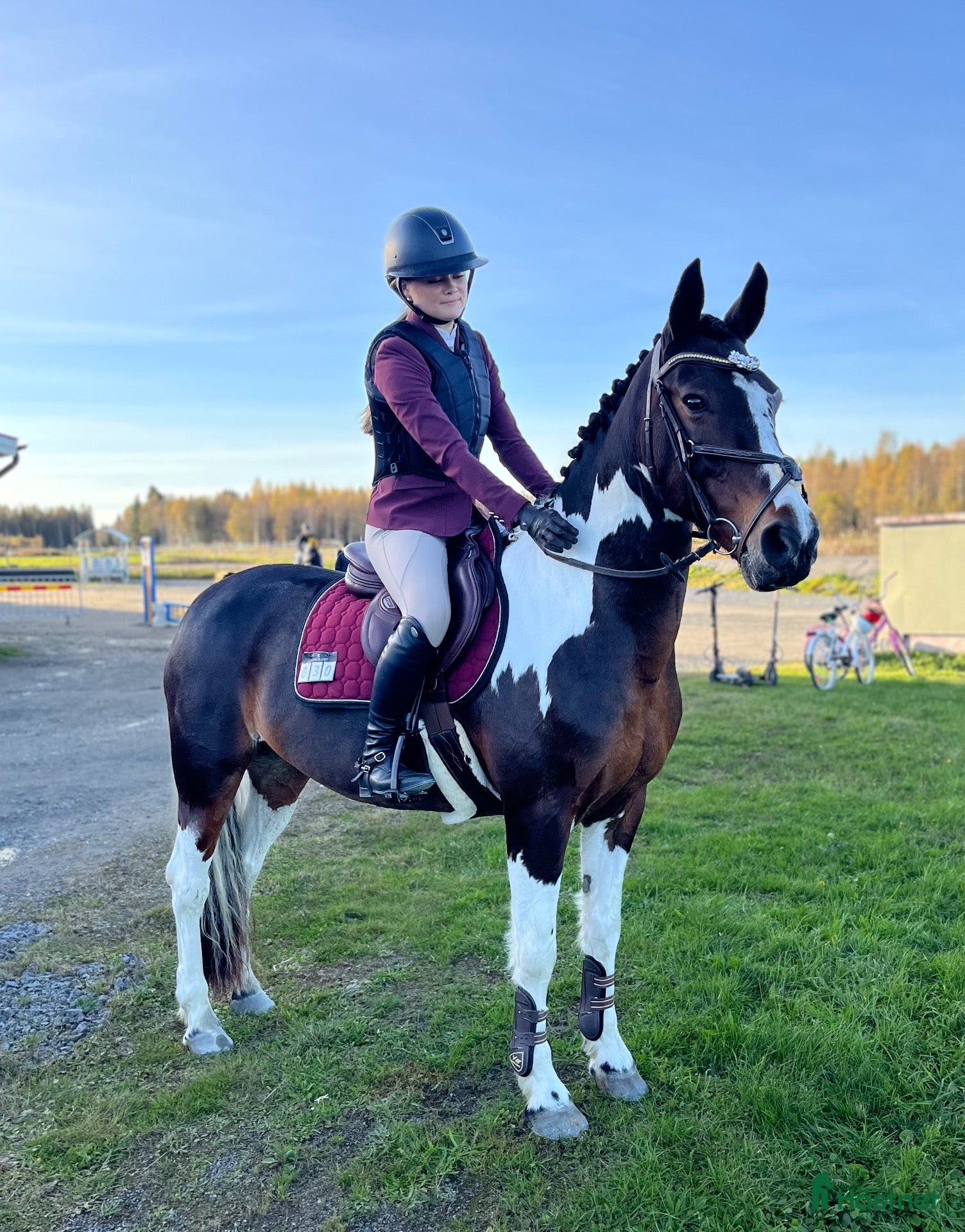  hästar Trygg D-ponny - Annons 4