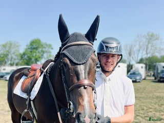 hästservice Lediga platser i Torna-hällestad - Annons 19