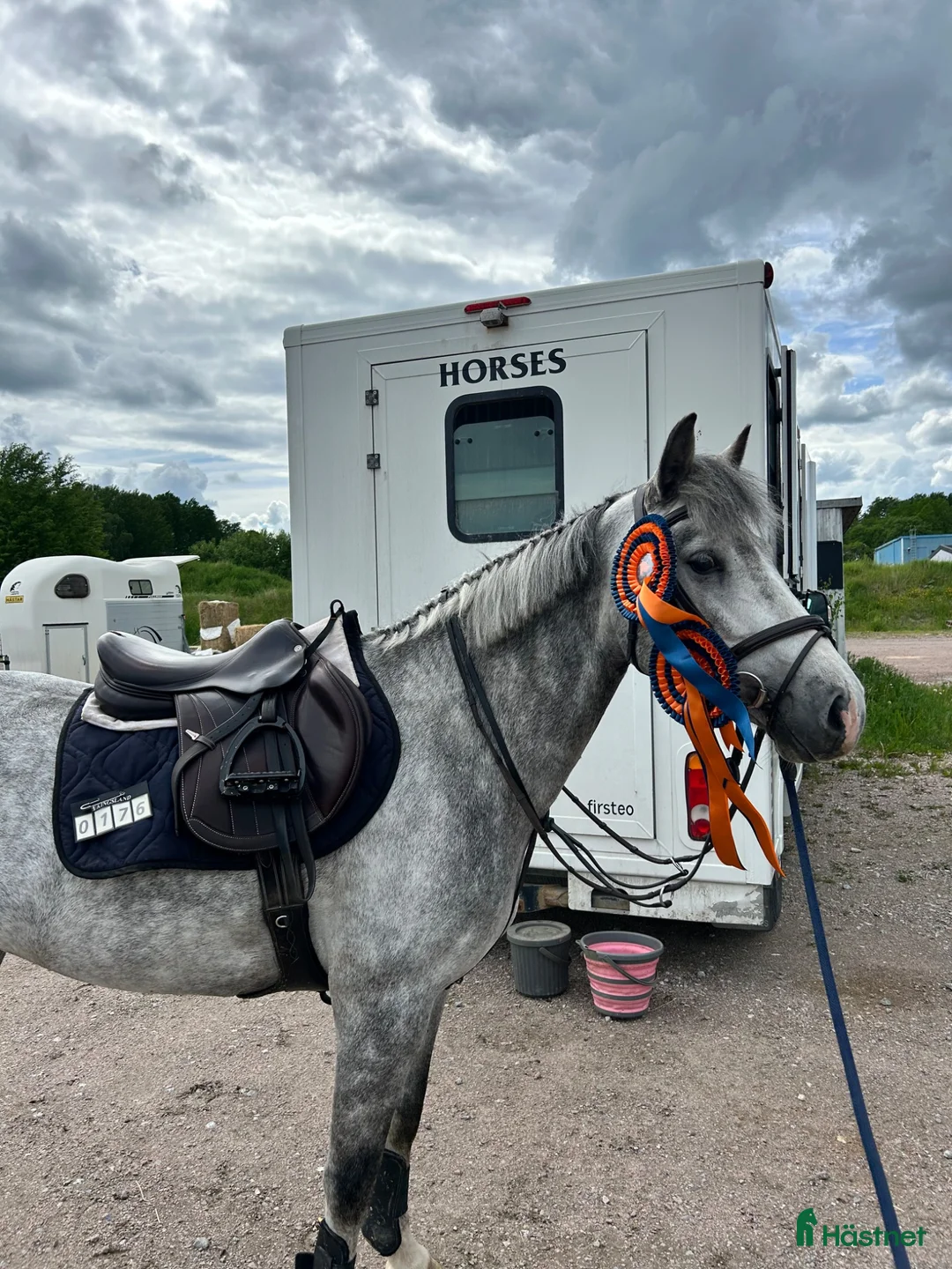 Hoppning hästar till salu: 6-årig c-ponny med kapacitet - Annons 1