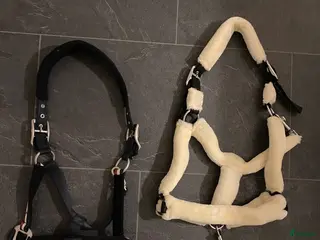 Övrig Hästutrustning hästutrustning Två nya grimmor med grimskaft Kingsland och Hööks - Annons 2