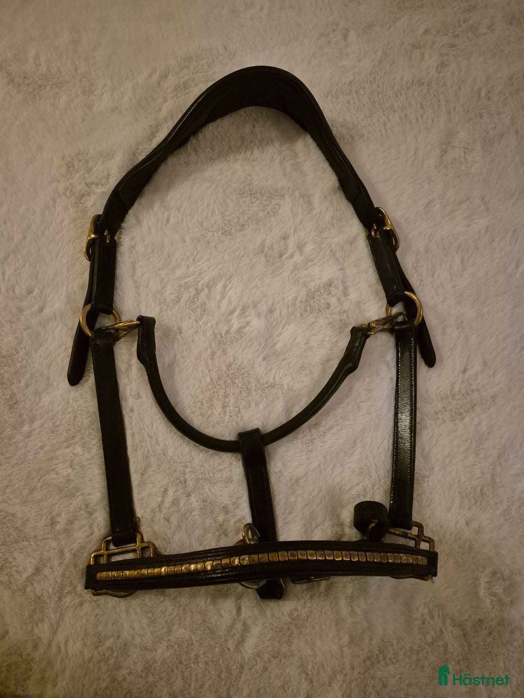 Övrig Hästutrustning hästutrustning till salu: Lädergrimma i Göteborg - Annons 1