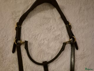 Övrig Hästutrustning hästutrustning till salu: Lädergrimma i Göteborg - Annons 19