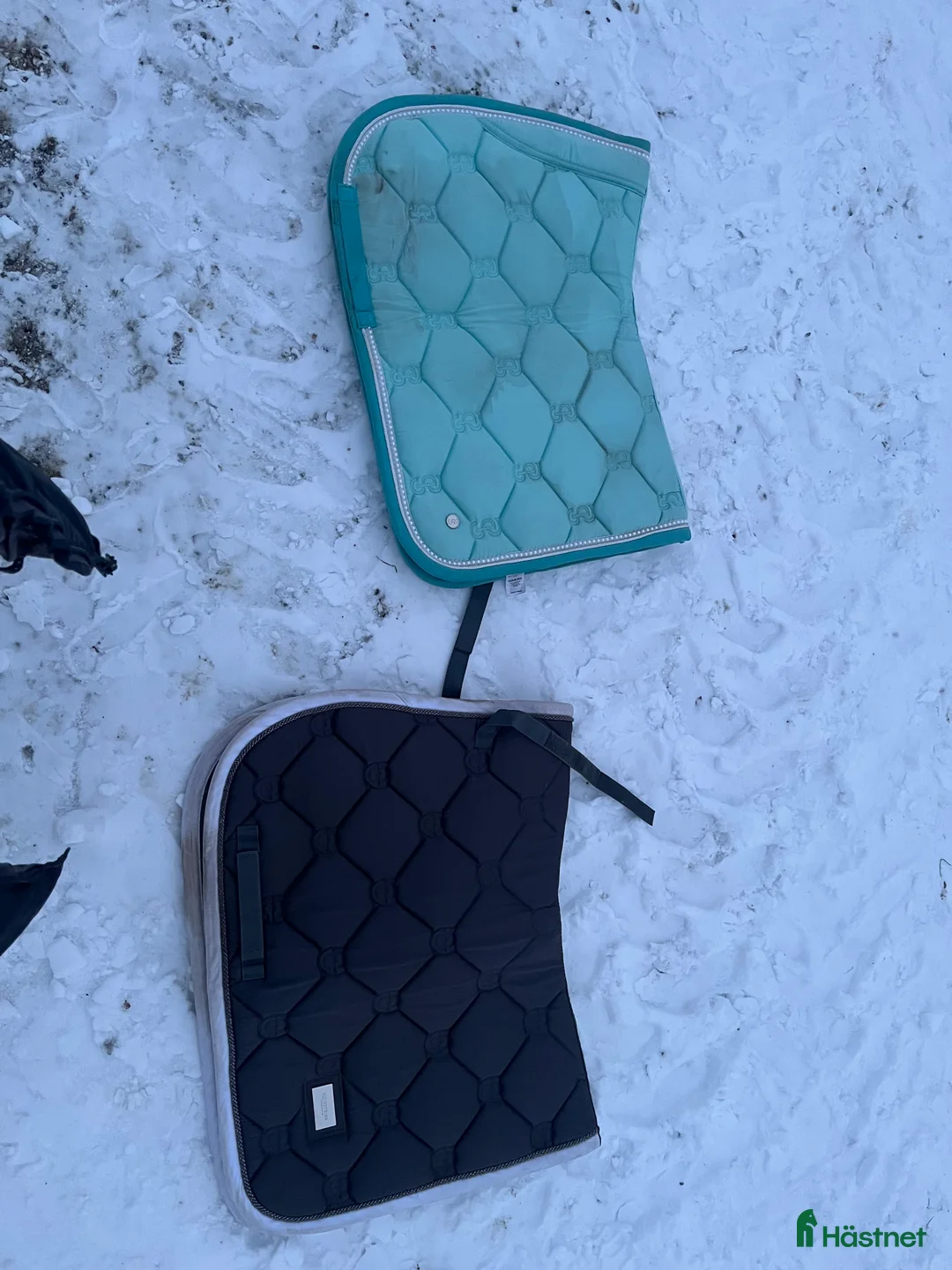 Schabrak & Vojlockar hästutrustning till salu: Schabrak i Södertälje - Annons 2