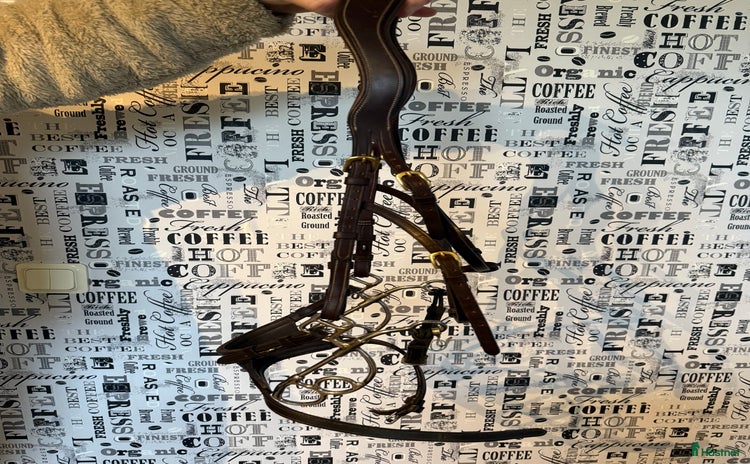 Bett hästutrustning till salu i Linköping - Annons 6