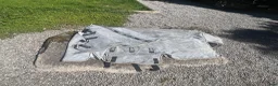 Täcken hästutrustning till salu: Horseware Rambo Protector Plus 155 cm - Annons 2