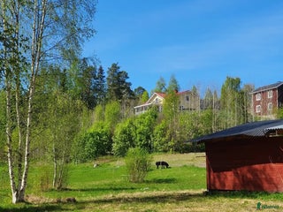 hästar Varmblod sökes, foder/köpes! i Sundsvall - Annons 1