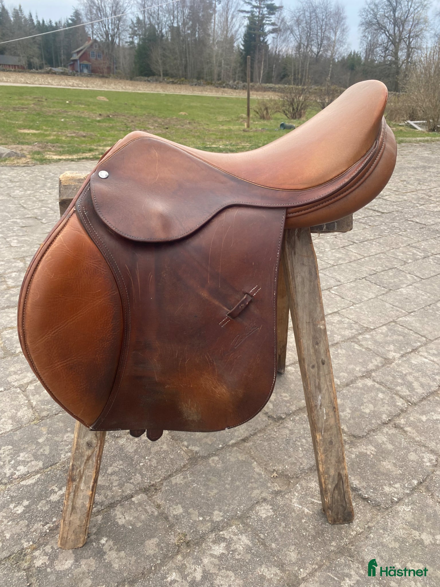Sadlar hästutrustning Brun hoppsadel - Annons 15