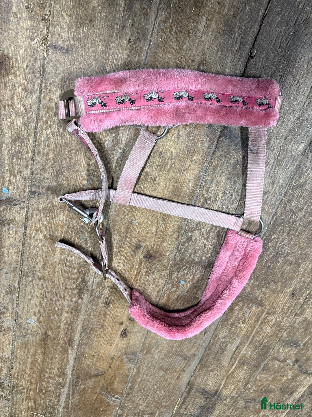 Övrig Hästutrustning hästutrustning till salu: Fynda billigt i Tungelsta - Annons 1