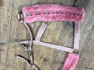 Övrig Hästutrustning hästutrustning till salu: Fynda billigt i Tungelsta - Annons 4