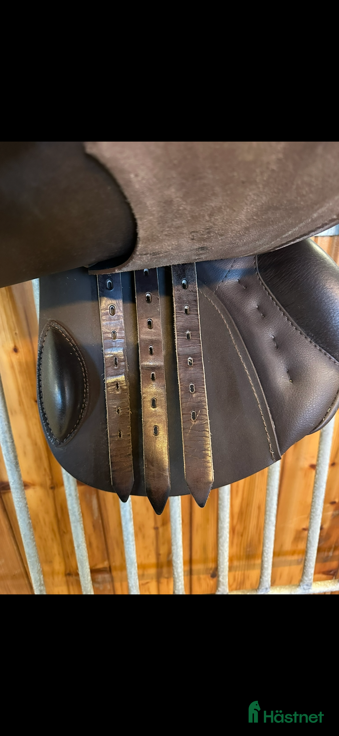 Sadlar hästutrustning till salu: Passier hoppsadel i Fjugesta - Annons 4