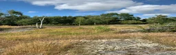  stallplats finnes: Ledig boxplats i Säve i Säve - Annons 6