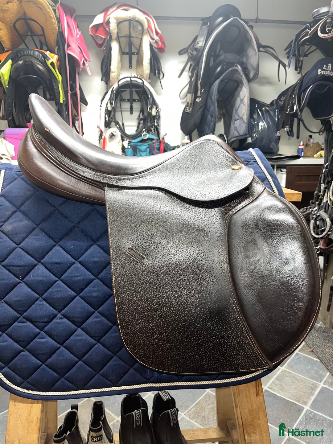 Sadlar hästutrustning till salu: Lippo Enzo 2021 i Jordbro - Annons 3
