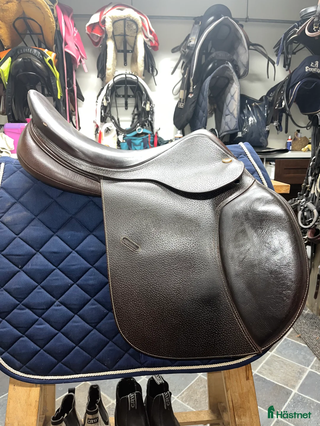 Sadlar hästutrustning till salu: Lippo Enzo 2021 - Annons 3