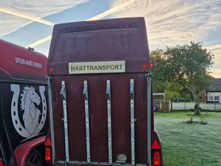 Hästtransporter fordon & transport till salu: Uthyres långtid eller korttid i Hässleholm - Annons 3