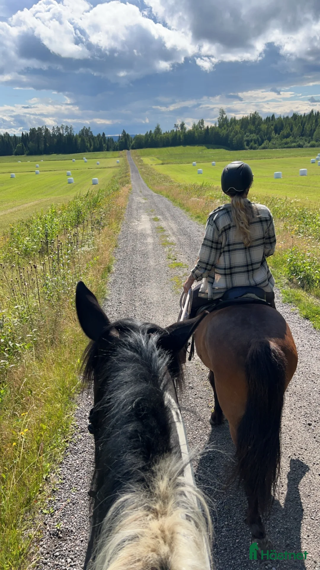 stallplats finnes: Lösdrift hel- eller halvinackordering - Annons 2