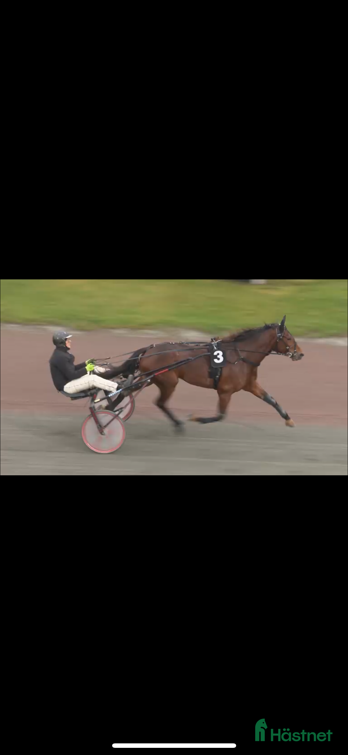  hästar Starthäst  i Nossebro - Annons 1