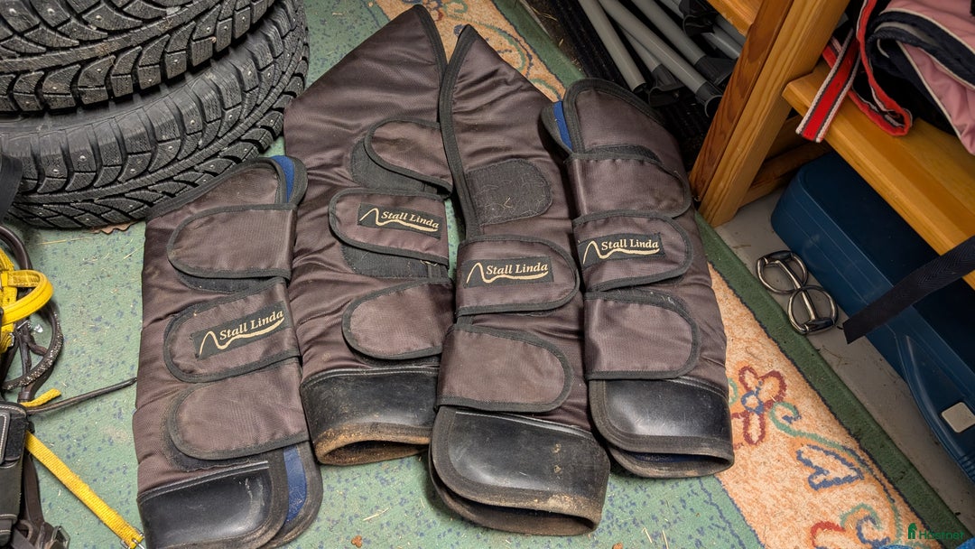 Övrig Hästutrustning hästutrustning till salu: Transportskydd cob/full i Skepplanda - Annons 1