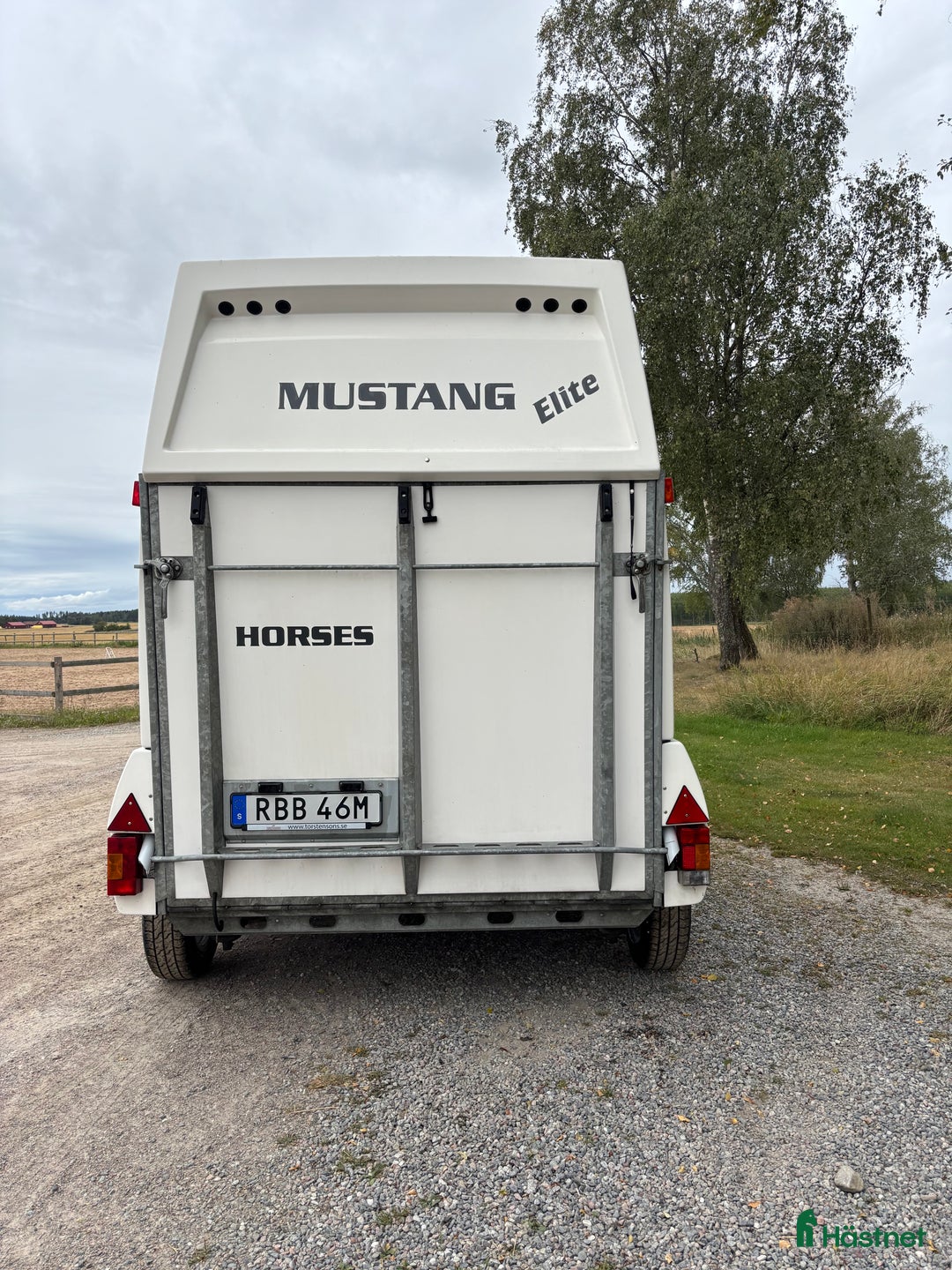 Hästtransporter  fordon & transport till salu: Mustang Elit-2019 hästtransport  i Västerås - Annons 5