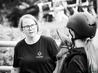 hästar Snäll ponny/liten häst till annorlunda verksamhet - Annons 3