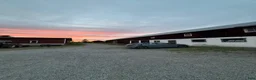  stallplats finnes: Lösdriftsplats för islandsvalacker- Vallentuna - Annons 8