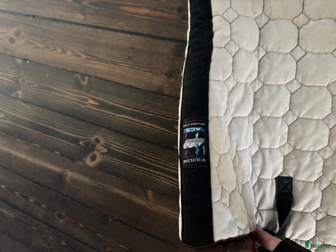 Schabrak & Vojlockar hästutrustning till salu: Equiline hopp schabrak ponny i Sollentuna - Annons 2