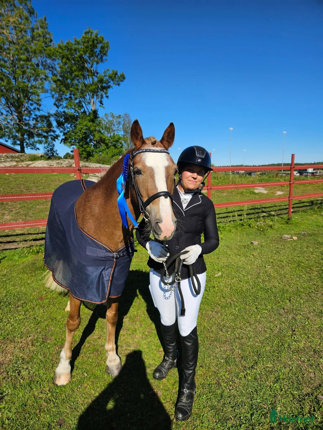  hästservice finnes: Utbilning/Försäljning med gedigen grundutbildning - Annons 3