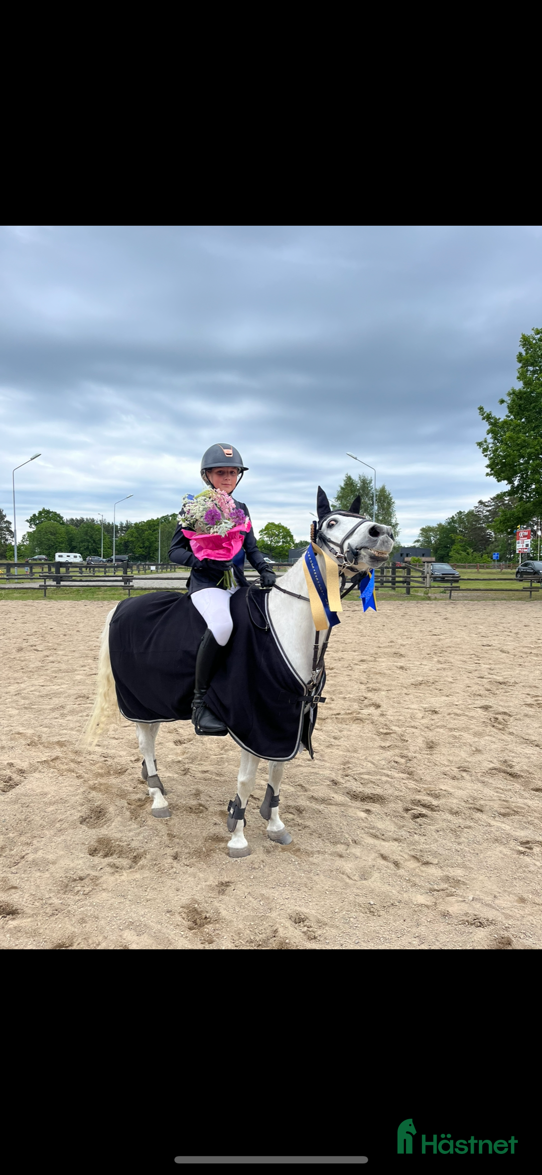 Hoppning hästar till salu: Twilight ||| i Sölvesborg - Annons 7