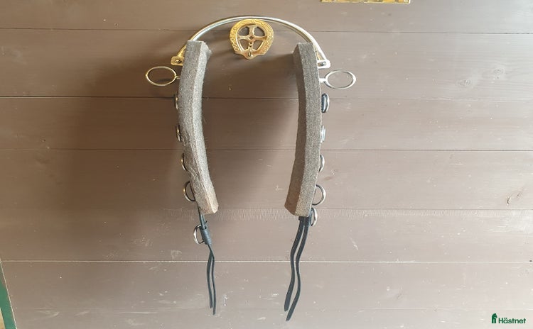 Övrig Hästutrustning hästutrustning till salu i Tranås - Annons 10