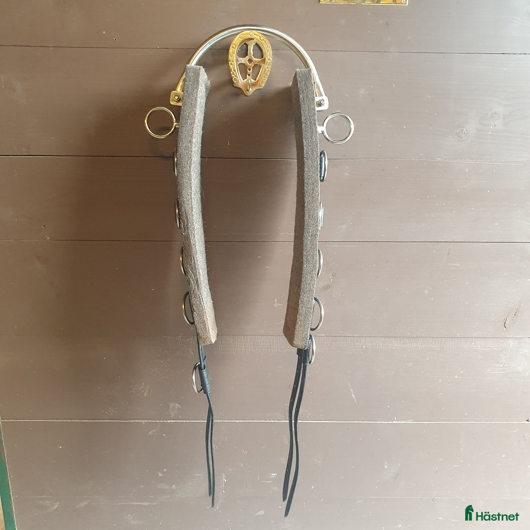 Övrig Hästutrustning hästutrustning till salu: Tömkörningsgjord med båge storlek Full i Tranås - Annons 1