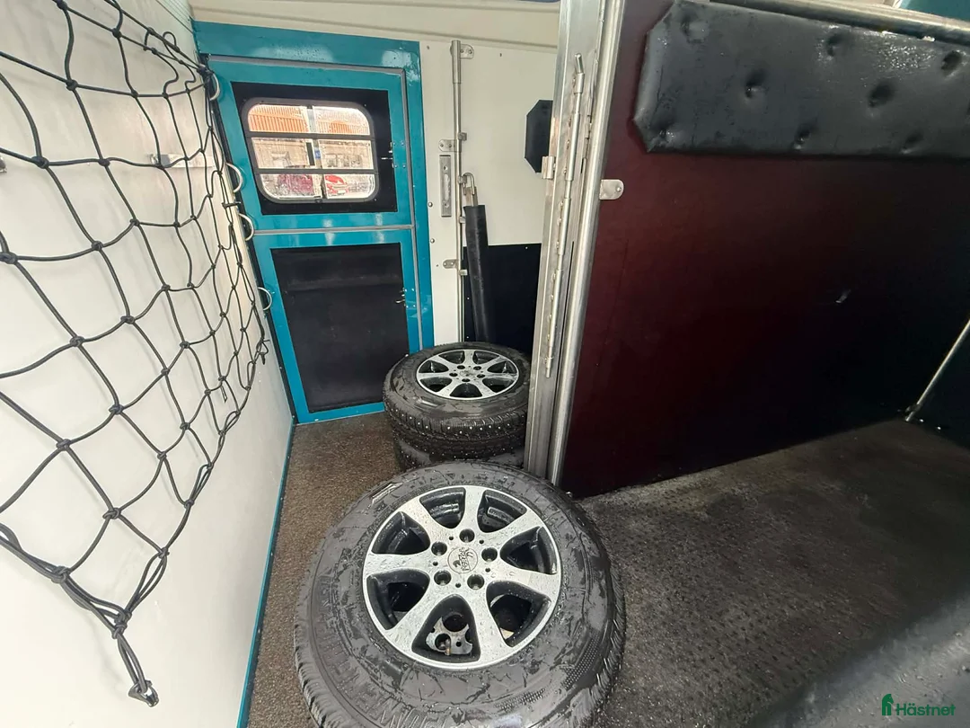 Hästtransporter  fordon & transport till salu: Fullutrustad Forzab Classic 226 SEH - Annons 2
