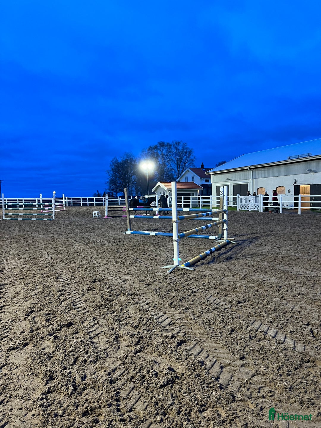  stallplats finnes: Stallplats fång känslig ponny /shettis ev häst - Annons 6