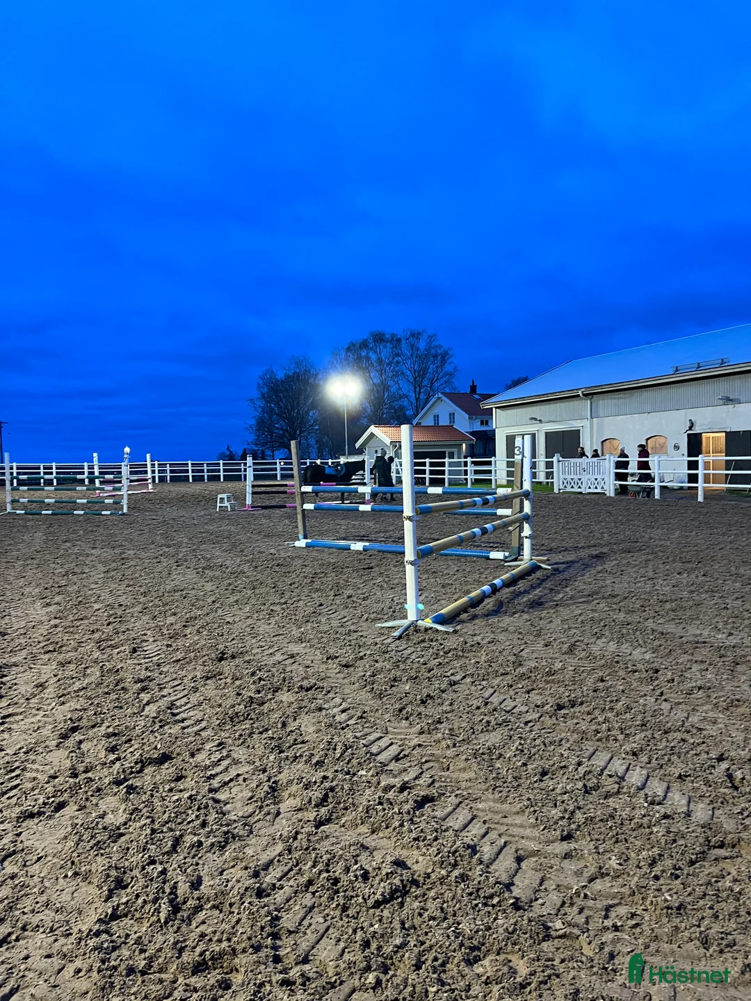  stallplats finnes: Stallplats fång känslig ponny /shettis ev häst - Annons 6