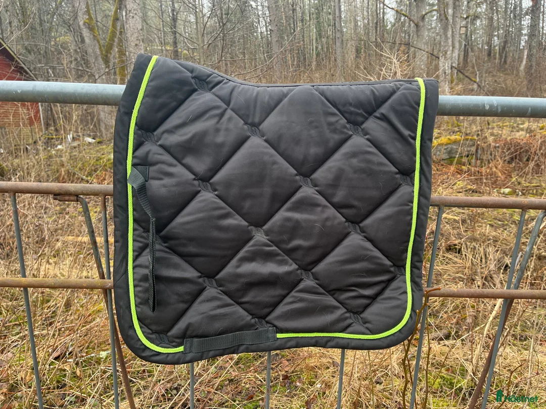 Schabrak & Vojlockar hästutrustning till salu: Back on track dressyrschabrak strl cob - Annons 1