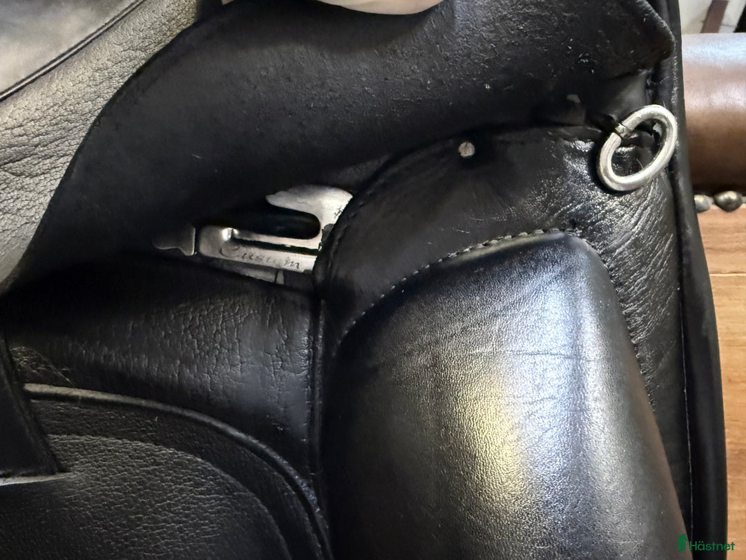 Sadlar hästutrustning till salu: Custom Coda Icon LR (17,5”, M/W) – Toppskick i Ekerö - Annons 7