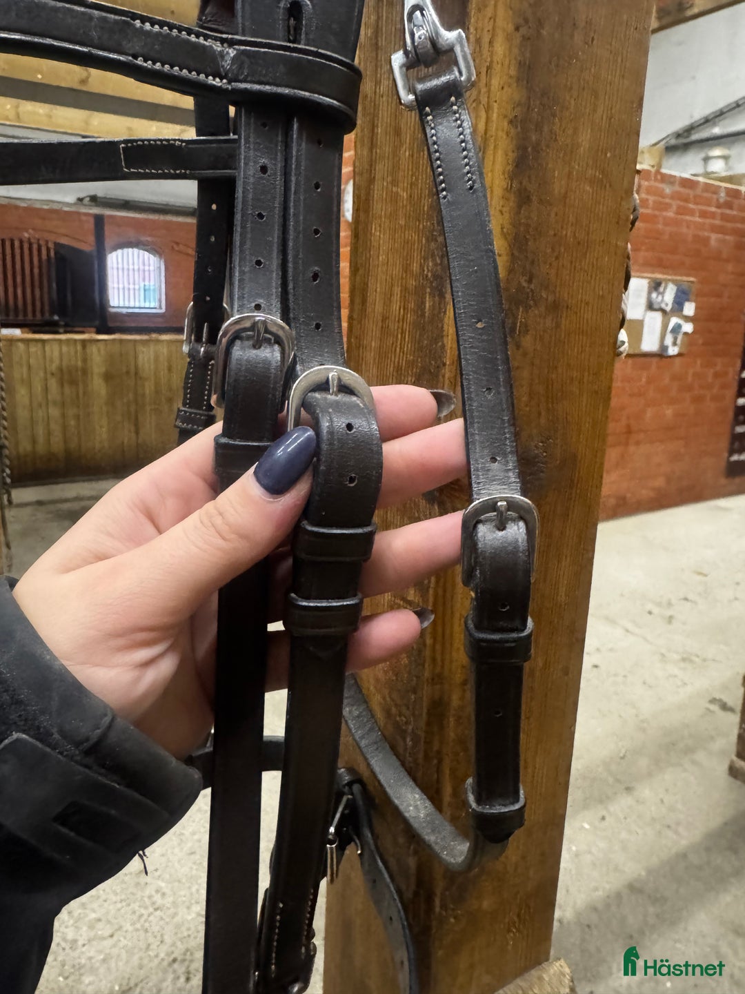 Träns hästutrustning till salu: Oanvänt Dyon träns säljes! i Uppsala - Annons 4