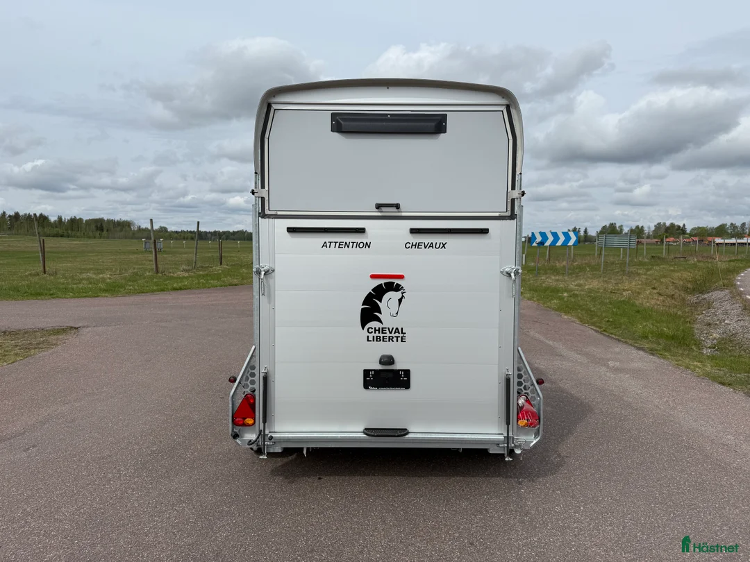 Hästtransporter  fordon & transport till salu: Cheval Gold3 -25 i Borlänge - Annons 4