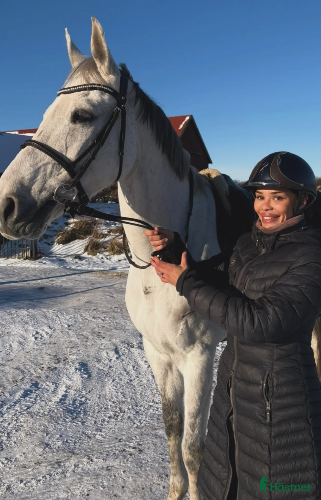 Galleribild {{count}}