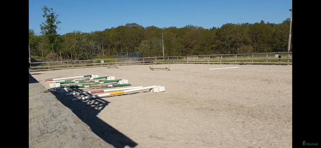  stallplats finnes: 3 lediga stallplatser i Kullavik i litet stall i Kullavik - Annons 4