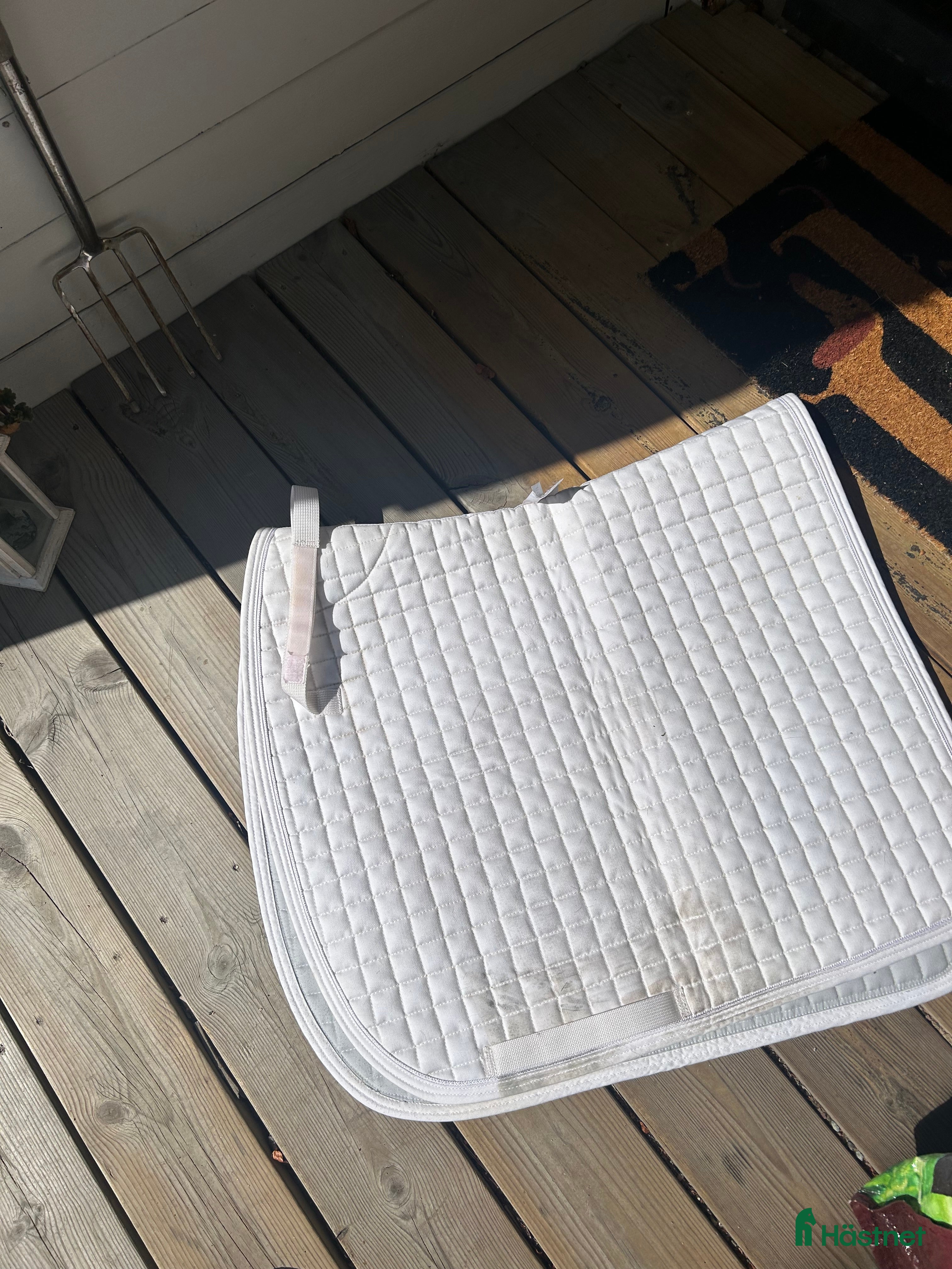 Schabrak &amp; Vojlockar hästutrustning till salu: Dressyr schabrak från Mias i Sala - Annons 16