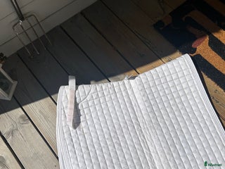 Schabrak & Vojlockar hästutrustning till salu: Dressyr schabrak från Mias i Sala - Annons 16