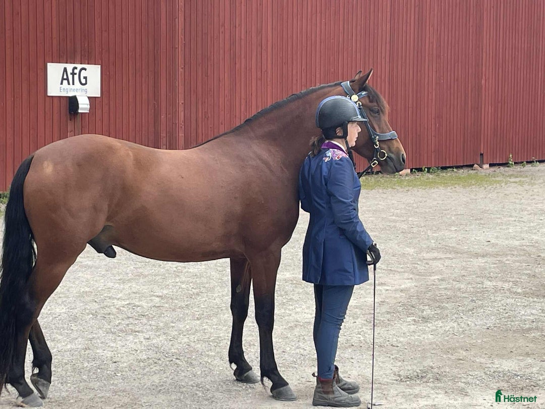 Galleribild {{count}}